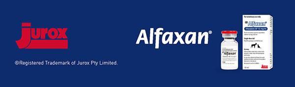 ALFAXALONE