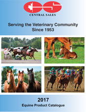Equine